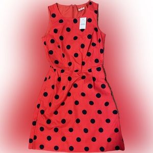 NWT J Crew shift dress